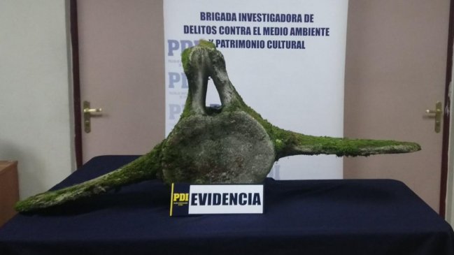 Puerto Chacabuco: Vértebra de ballena era transportada en un camión de mudanzas