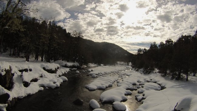 Los Ríos: Conaf cerró temporalmente áreas protegidas por nevazones