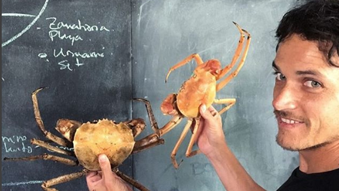 Rodolfo Guzmán: Chile necesita conocimiento para explorar nuevos ingredientes