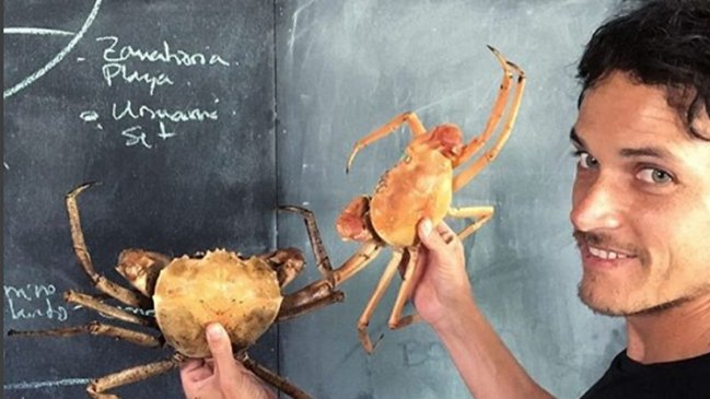 Rodolfo Guzmán: Chile necesita conocimiento para explorar nuevos ingredientes