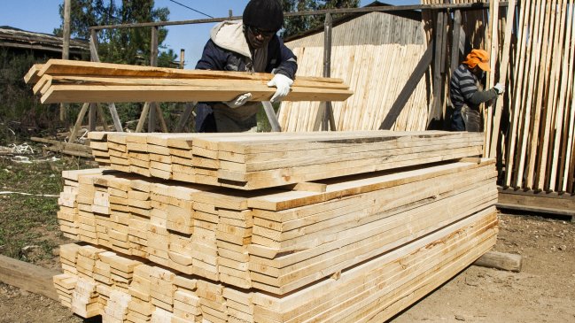 Industria maderera “morirá luego”: Preocupación en El Maule tras los efectos del megaincendio forestal de 2017