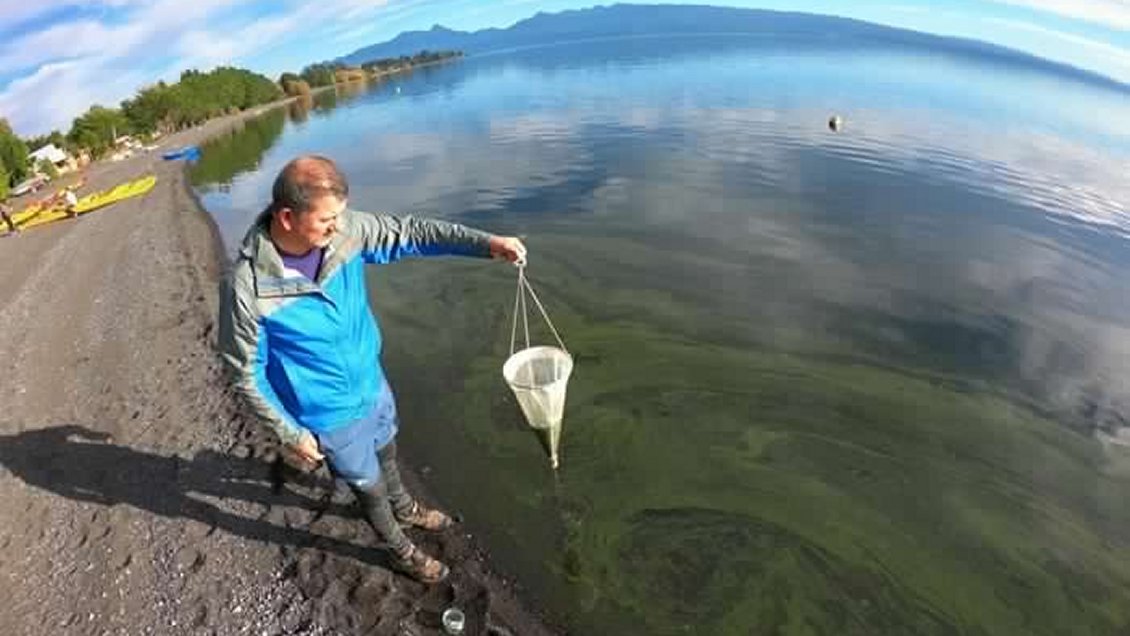 Se mantiene la preocupación por contaminación del Lago Villarrica