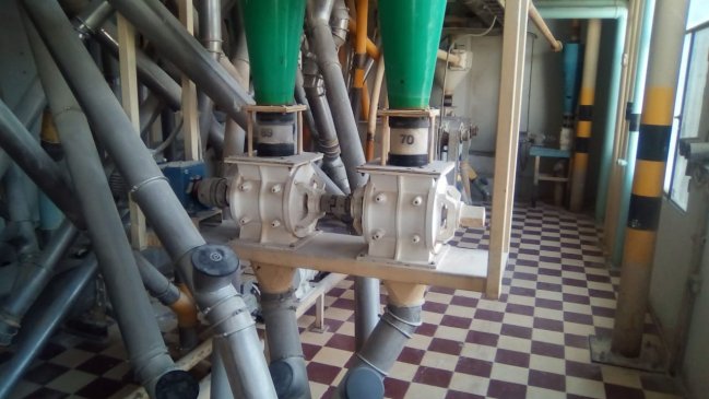 Pastas Suazo no ha cerrado: Continuidad de giro a través de una liquidación concursal