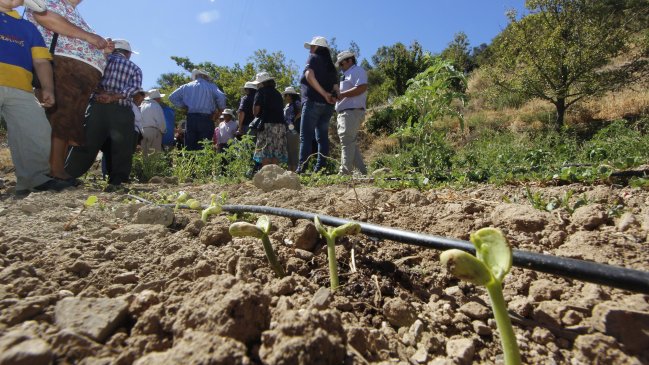 Maule: Autoridades relanzan proyecto que busca mejorar la gestión de residuos plásticos en la agricultura