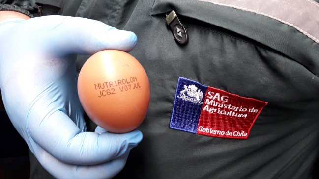SAG Tarapacá llamó a no consumir huevos provenientes de Bolivia