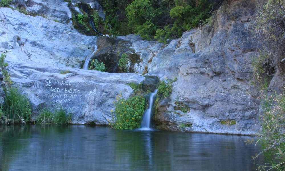 Declaran sexto santuario de la naturaleza en la Región de Coquimbo