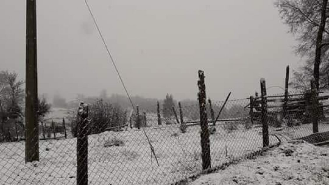 Provincia de Llanquihue: La nieve tiñe de blanco los campos de Fresia y Tegualda