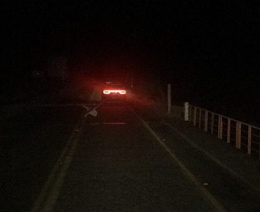 Pucón: Cortes de energía eléctrica y caída de árboles tras fuertes vientos