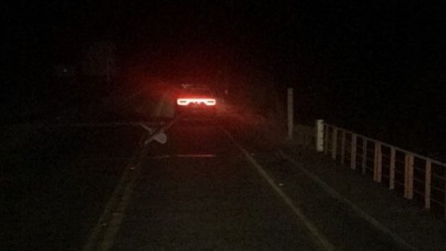 Pucón: Cortes de energía eléctrica y caída de árboles tras fuertes vientos