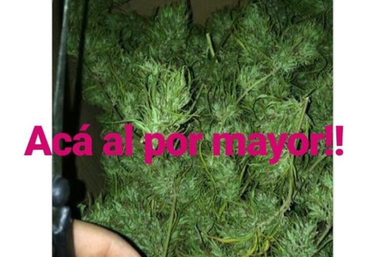 O'Higgins: Carabineros detuvo a sujeto acusado de distribuir drogas a través de redes sociales