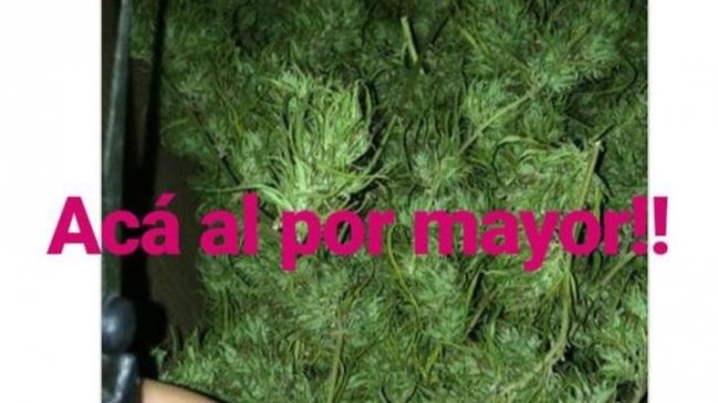 O'Higgins: Carabineros detuvo a sujeto acusado de distribuir drogas a través de redes sociales