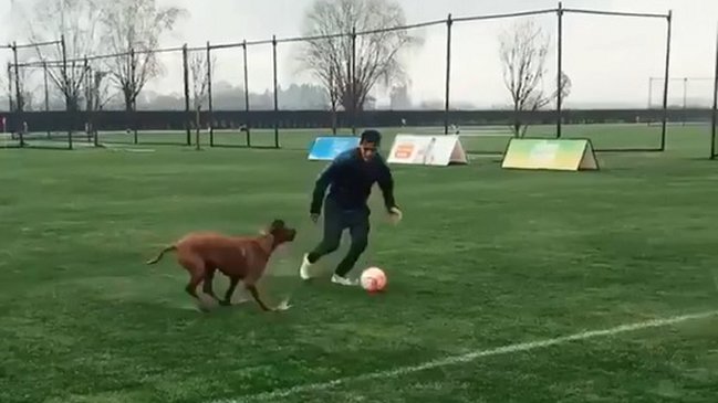 ¡Un todo terreno! El tierno 