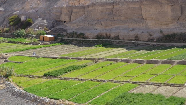 Extienden plazo para postular a fondos de mejora de suelos