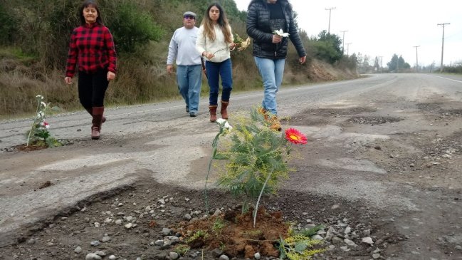 Colbún: Plantan flores en hoyos de carretera para exigir su reparación