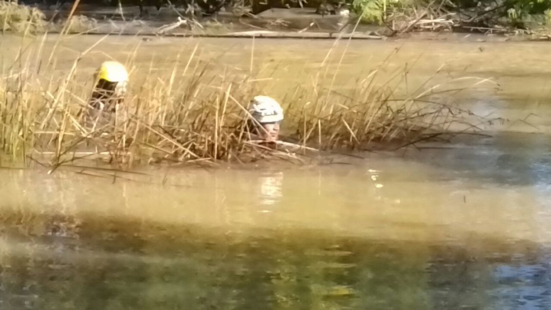 GOPE encontró muerto a hombre que se había extraviado en Chanco