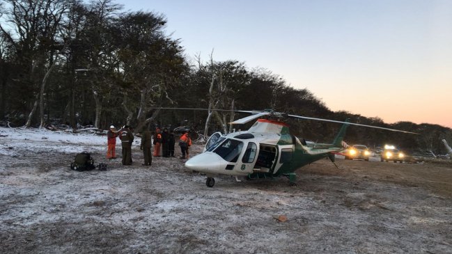 Porvenir: Trabajador forestal falleció tras ser golpeado por árbol