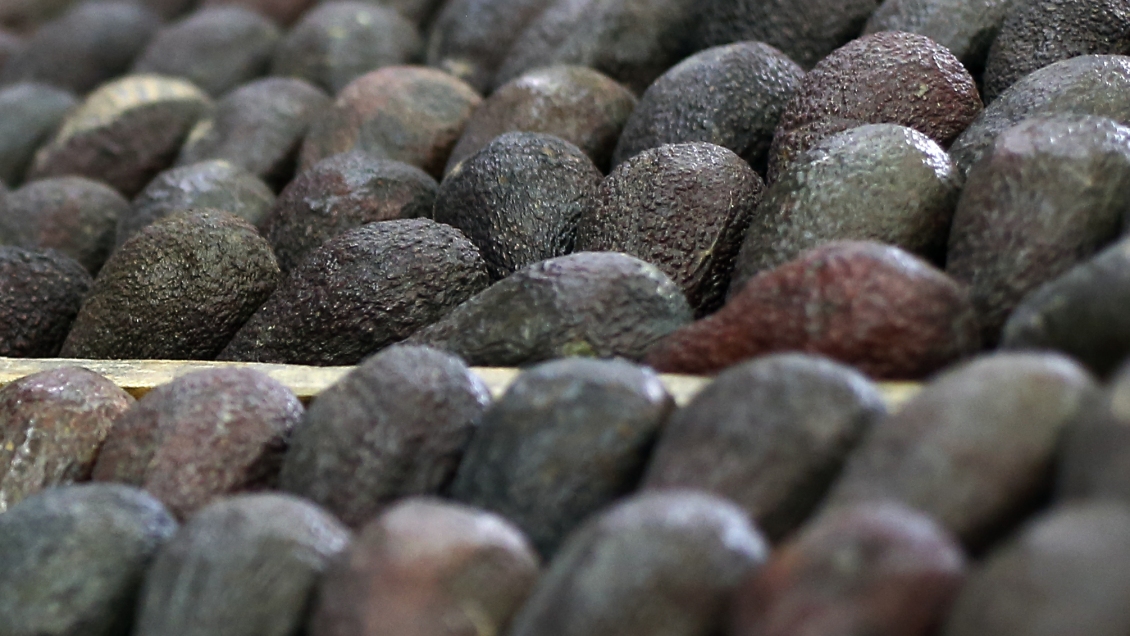 Ministro de Agricultura: Tomaremos todas las medidas para ordenar la casa en Petorca