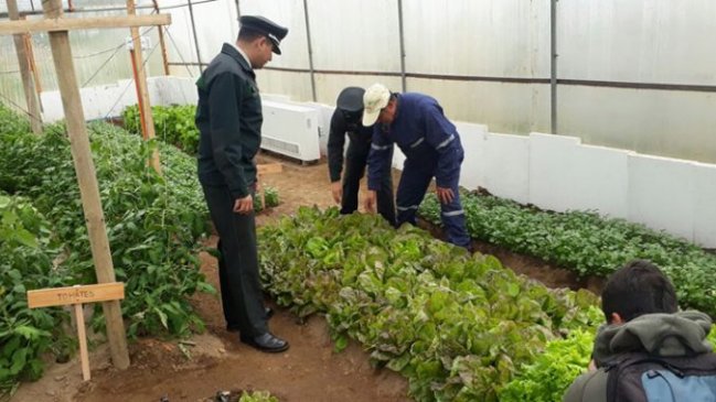 Invernadero geotérmico de Aysén es premiado en seminario internacional