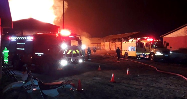 Angol: Millonarias pérdidas deja incendio en barraca de secado