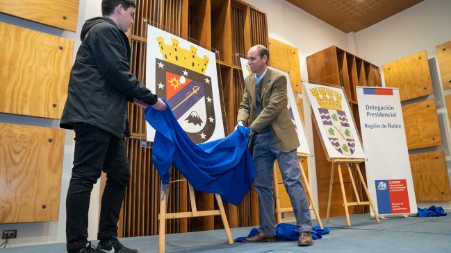 Diseñadores de escudos de tres provincias de la nueva región de Ñuble fueron premiados