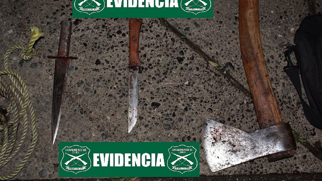 Carabineros detuvo a banda dedicada al robo de animales