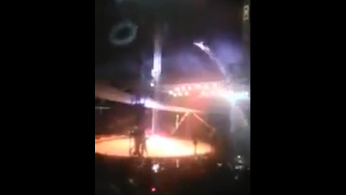 Seremi fiscalizará circo donde 