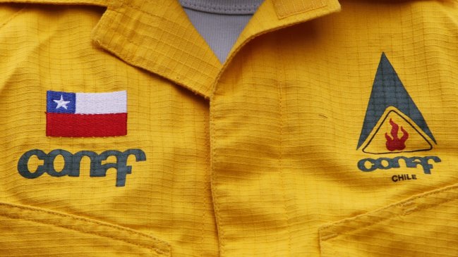 Conaf evalúa acciones legales por colusión de empresas de combate de incendios forestales