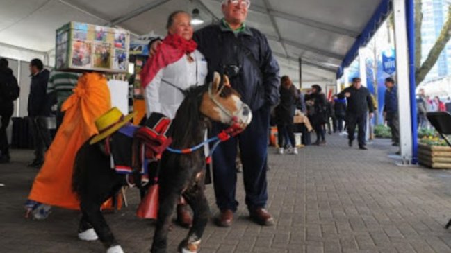 Concepción: Feria de la Identidad Penquista busca rescatar el patrimonio local
