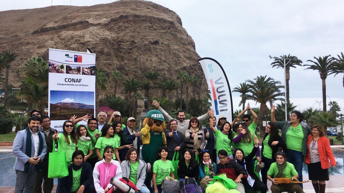 Arica: Voluntarios de 