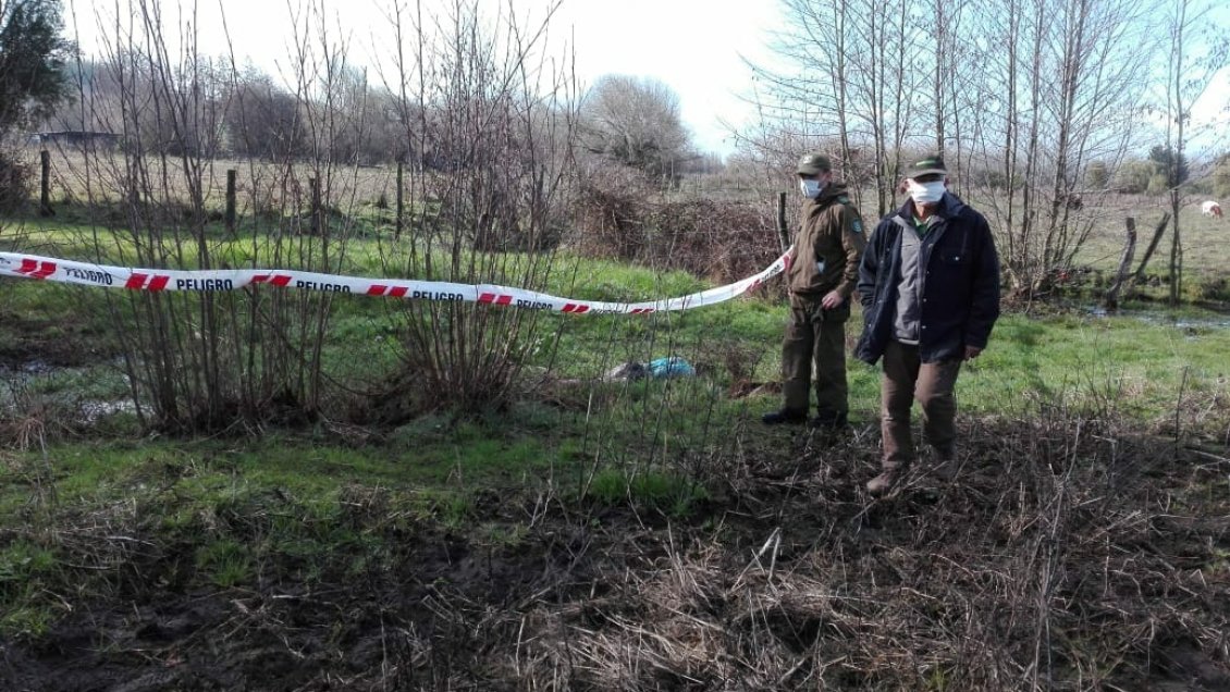 Ñuble: Encuentran muerto a adulto mayor que estaba extraviado en Yungay