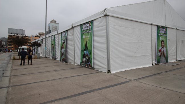 Denuncia por maltrato animal generó sumario sanitario en exposición