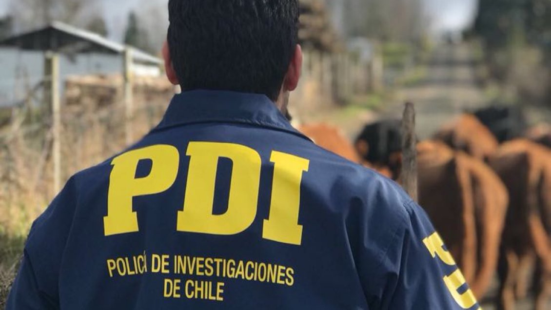 Osorno: Atrapan a cuatreros con arreo bobino, alimentos y equipos para alimentar animales