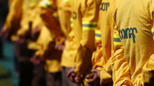 Ex director de Conaf ante acusaciones de irregularidades: Hay uso malicioso de la información