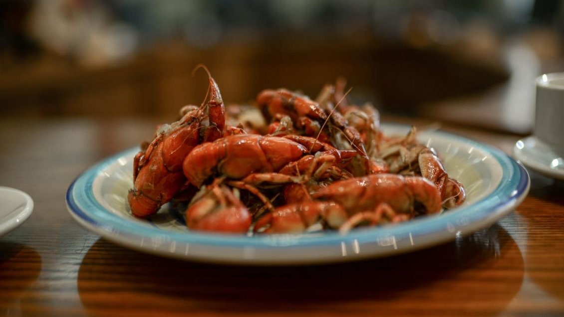 Chillán celebrará tercera versión de la 