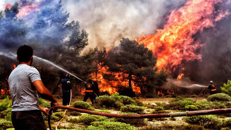 Infierno en Grecia: Aumenta a 79 la cifra de fallecidos por incendios forestales