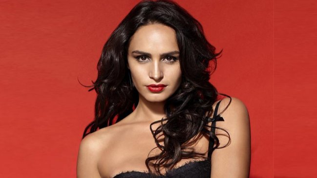 Fernanda Urrejola denunció a director: 