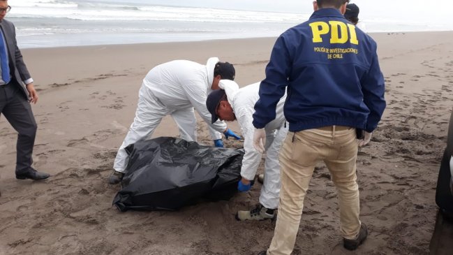 Encuentran nuevas tortugas marinas muertas en las costas de Arica