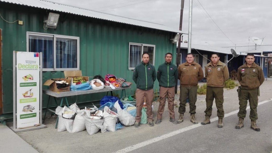 Parinacota: Descubren 430 kilos de productos agrícolas de contrabando en Visviri