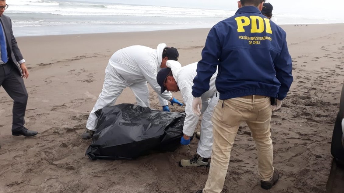Encuentran nuevas tortugas marinas muertas en las costas de Arica