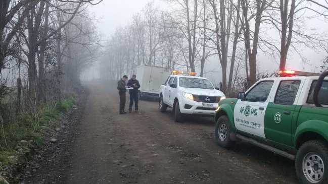 Ñuble: Ladrones armados atacaron a camionero en Coihueco
