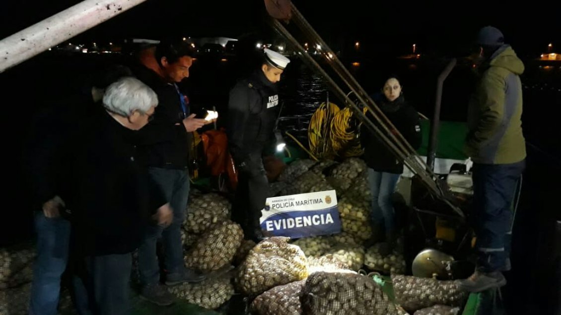 Calbuco: Detectan almejas con marea roja provenientes de Chaitén