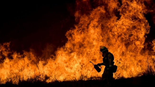 Incendio en California deja al menos un muerto y más de 11.500 hectáreas arrasadas