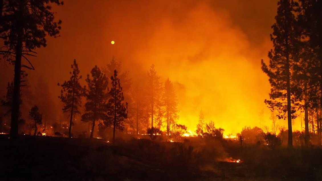 Suben a cinco los muertos por descontrolado incendio forestal en California