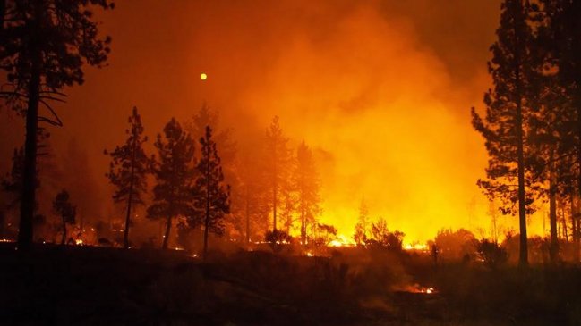 Suben a cinco los muertos por descontrolado incendio forestal en California