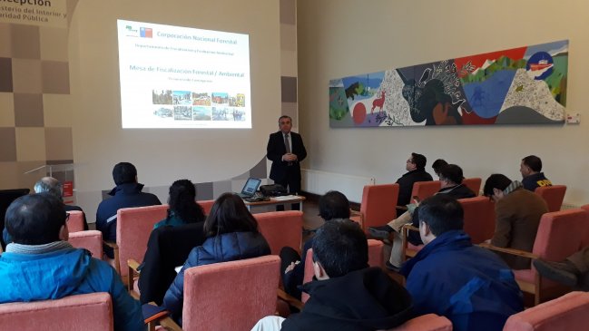 Mesa de fiscalización forestal del Biobío pondrá énfasis en el transporte y venta de leña