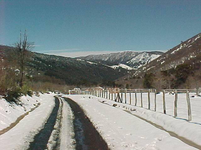 Declaran Alerta Temprana Preventiva por bajas temperaturas en La Araucanía