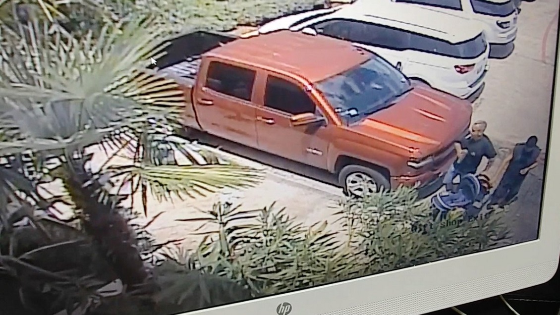 Ladrones robaron un tiburón disfrazándolo como un bebé