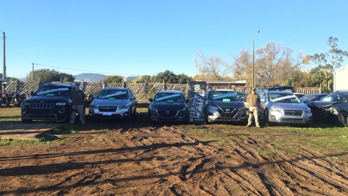 Desbaratan banda que robaba autos en Santiago y los vendía con facturas falsas en Concepción