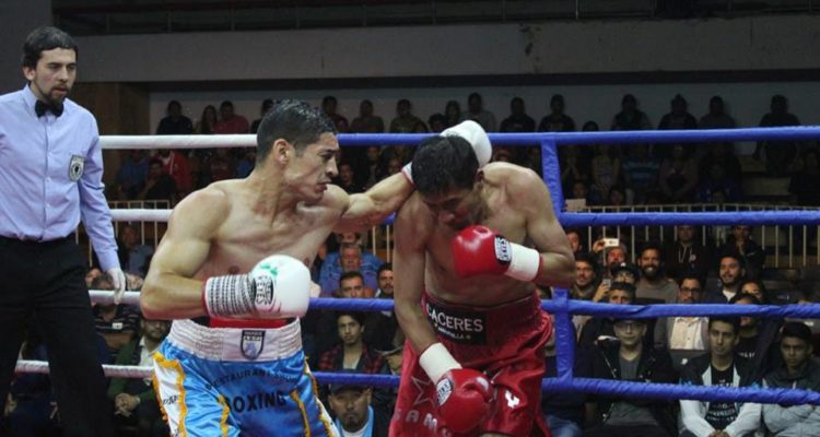 Boxeador iquiqueño fue detenido y enviado a Santiago por receptación