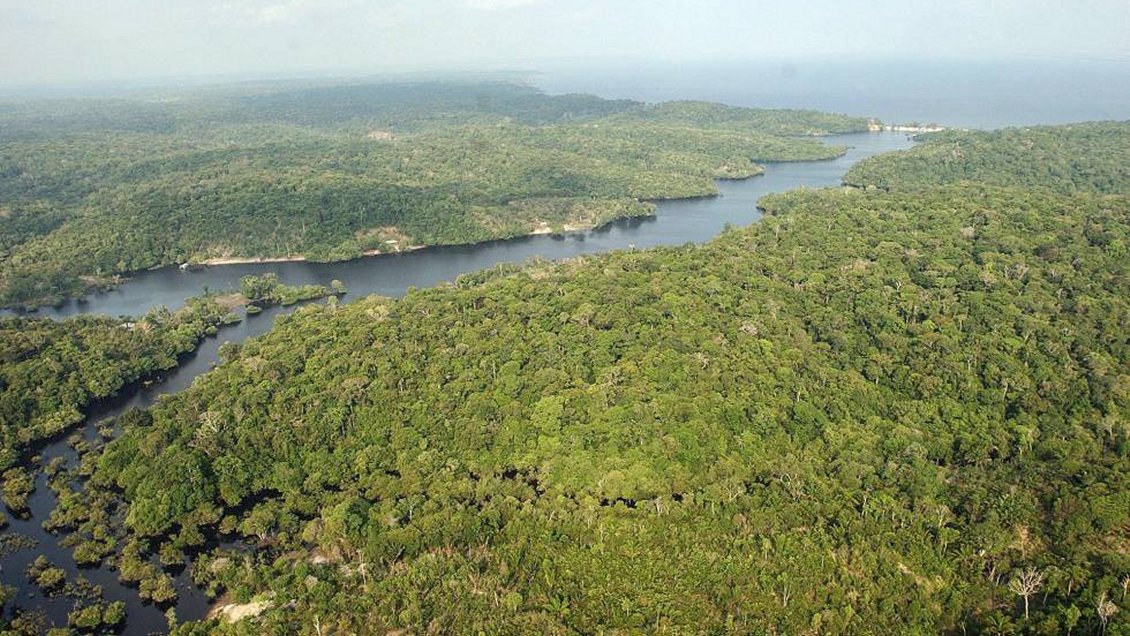 La Amazonía peruana perdió 23 mil hectáreas de bosques entre enero y junio